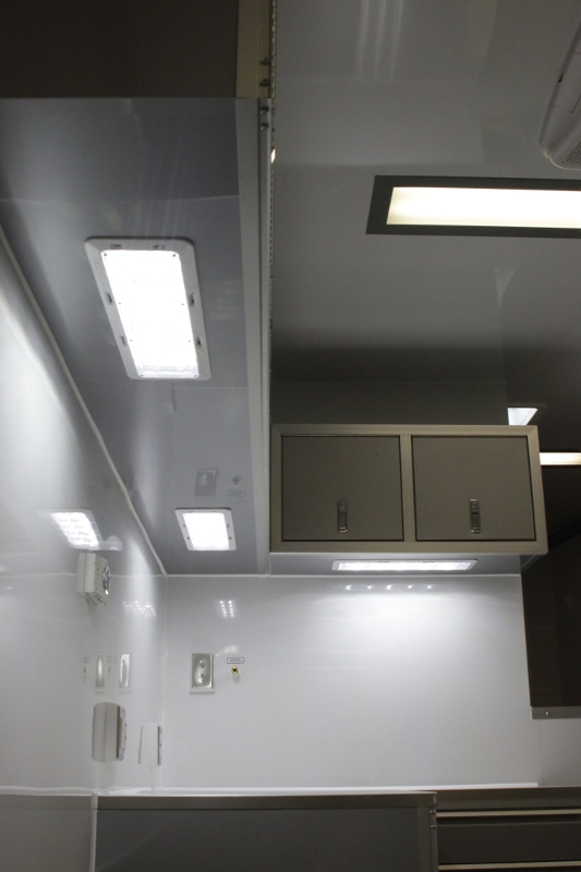 40_aluminumgoose_12320_09